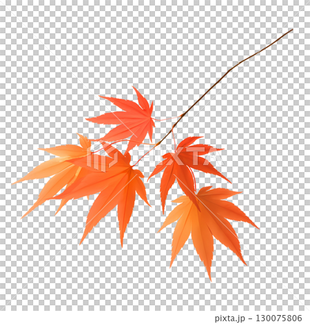 秋葉的水彩插圖 130075806