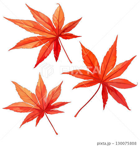 紅葉の葉っぱの水彩風イラスト 130075808