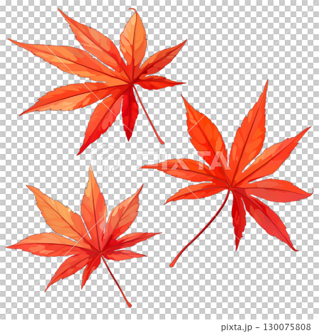 紅葉の葉っぱの水彩風イラスト 130075808