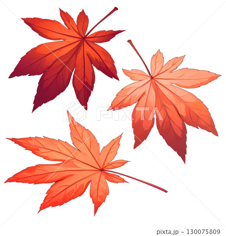紅葉の葉っぱの水彩風イラスト 130075809