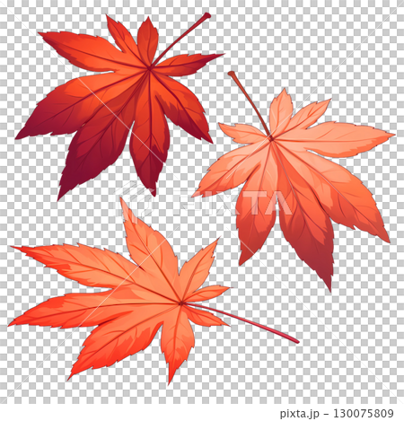 紅葉の葉っぱの水彩風イラスト 130075809