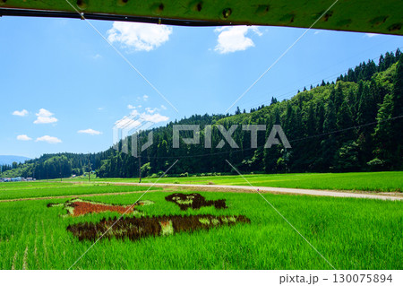 秋田内陸線沿線　田んぼアート　秋田県 130075894