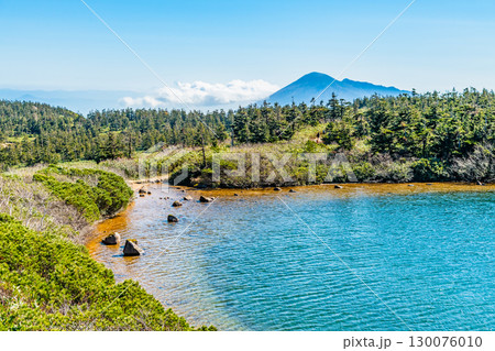 岩手 八幡平山頂遊歩道 ガマ沼 岩手 八幡平山頂遊歩道 ガマ沼 130076010