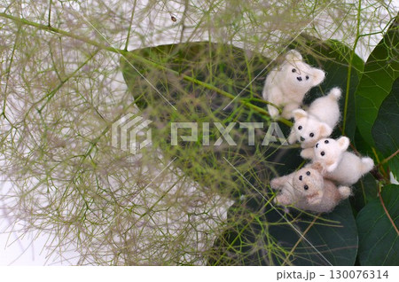 スモークツリーの花穂に集まるフェルトの子犬　 130076314
