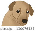 A dog cartoon face  graphic elements decorated  130076325