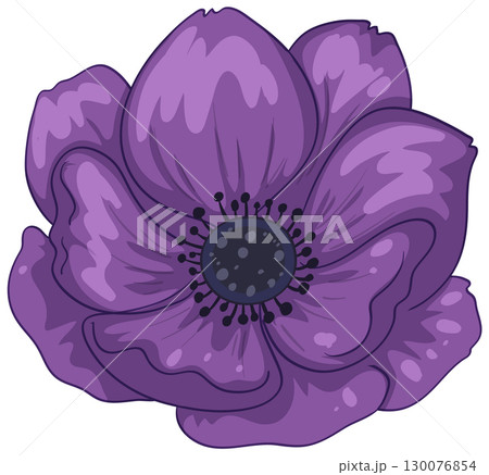 Purple Anemone Flower Vector Illustration with Bold Petals 130076854