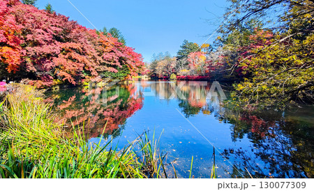 軽井沢・雲場池（秋） 130077309