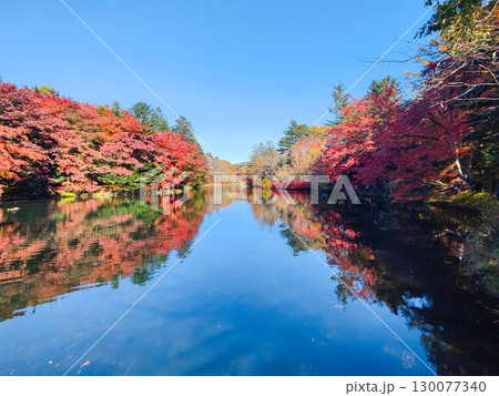 軽井沢・雲場池（秋） 130077340