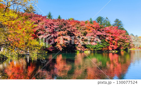 軽井沢・雲場池（秋） 130077524