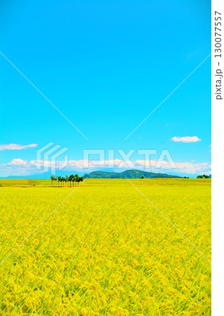 豊穣の田園 130077557