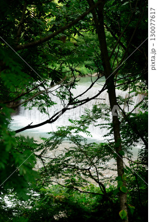 森の中の小さな滝 130077617