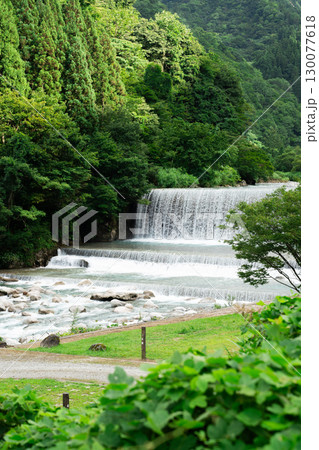 新緑の中を流れる滝 130077618
