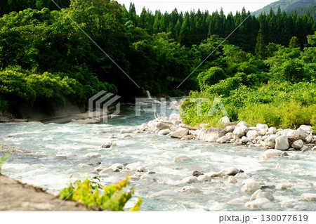 新緑に包まれた渓流 130077619