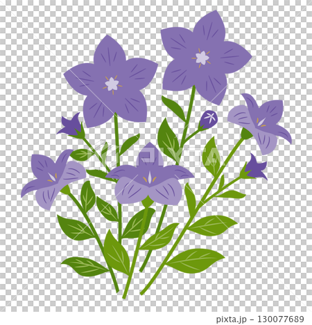 田野裡盛開的風鈴草 130077689