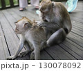 バリ島　ウブド　モンキーフォレスト　サレン・アグン寺院 130078092