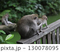 バリ島　ウブド　モンキーフォレスト　サレン・アグン寺院 130078095