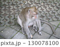 バリ島　ウブド　モンキーフォレスト　サレン・アグン寺院 130078100