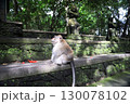 バリ島　ウブド　モンキーフォレスト　サレン・アグン寺院 130078102