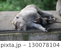 バリ島　ウブド　モンキーフォレスト　サレン・アグン寺院 130078104