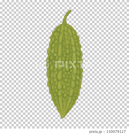 [蔬菜]苦瓜插畫 130079127