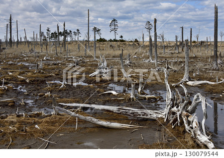 根室春国岱の景観 130079544