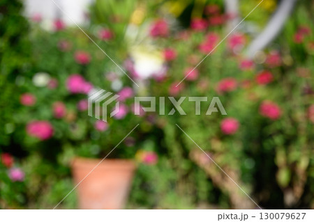 Defocus of flowers background.Abstract blur flower background. 130079627