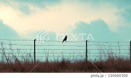 Single bird perched on rusty barbed wire fence against cloudy sky at dusk 130080300