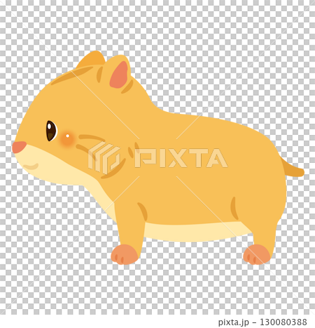 横向きのハムスターイラスト 130080388