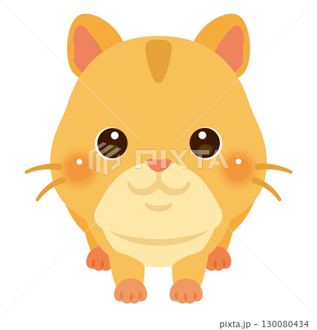正面から見たハムスターのイラスト 130080434