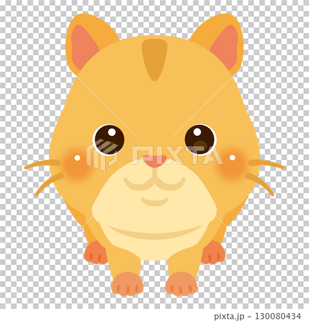 正面から見たハムスターのイラスト 130080434