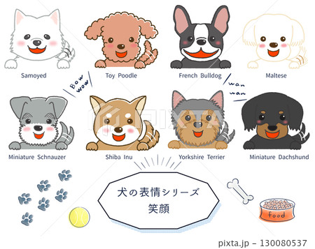 犬種別表情シリーズ 笑顔 犬種別表情シリーズ 笑顔 130080537