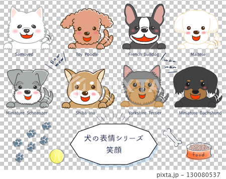 犬種別表情シリーズ 笑顔 犬種別表情シリーズ 笑顔 130080537