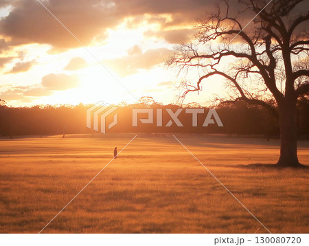 Golden sunset over a tranquil field with a lone figure enjoying nature's beauty 130080720