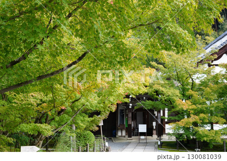 秋の気配が感じられる京都の寺院の境内 秋の気配が感じられる京都の寺院の境内 130081039