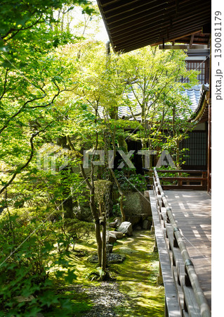 秋の気配が感じられる京都の寺院の境内 秋の気配が感じられる京都の寺院の境内 130081179