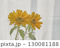 窓辺に飾られたひまわり 130081188