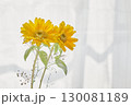 窓辺に飾られたひまわり 130081189