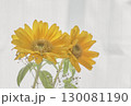 窓辺に飾られたひまわり 130081190
