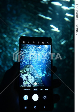 携帯で撮るイワシトルネード 130081291