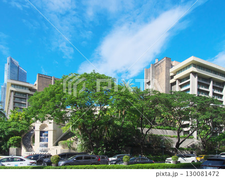 躍動するフィリピン - マニラ・マカティの中心街（アヤラ・センター） 　都市景観（2025年6月） 130081472