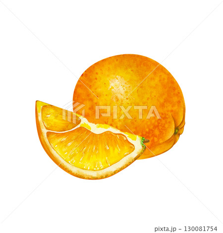 A hand-drawn composition of a whole orange and a slice. The watercolor illustration is isolated on a white background. A juicy fruit template for cooking blogs and healthy food design. 130081754
