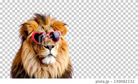 Cute lion or lion cub isolated on white background. 130082132