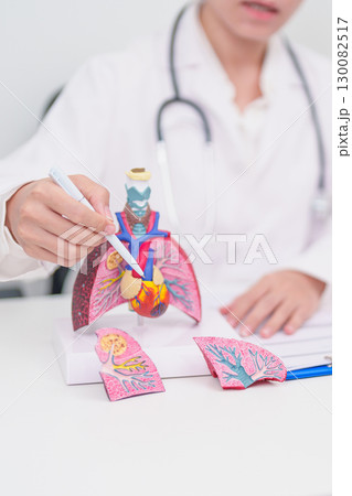 Doctor point heart Cardiovascular and Respiratory anatomy for Disease. Lung Cancer, Asthma, Chronic Obstructive Pulmonary or COPD, Bronchitis, Emphysema, Cystic Fibrosis, Bronchiectasis, Pneumonia 130082517
