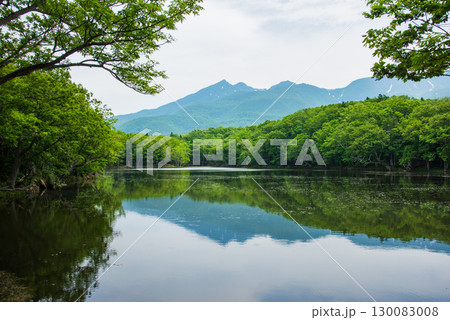 知床五湖 四湖風景 知床五湖 四湖風景 130083008