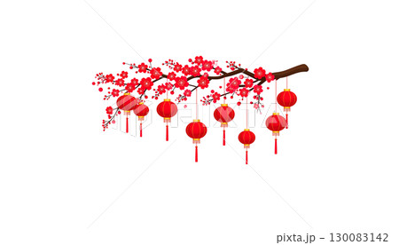 Chinese New Year lanterns and decorations with beautiful flowers in pink and red tones on a white background. 130083142