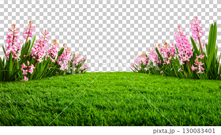 Colorful spring flowers blooming in bright green meadow isolated on white background. Colorful spring flowers blooming in bright green meadow isolated on white background. 130083401