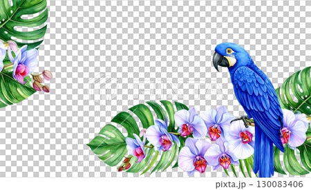 Colorful parrot on a branch with leaves and tropical flowers isolated on white background. 130083406