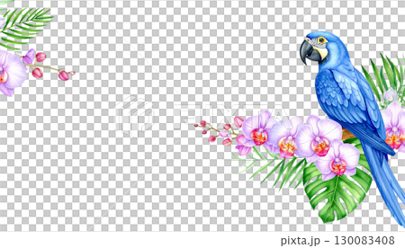 Colorful parrot on a branch with leaves and tropical flowers isolated on white background. 130083408