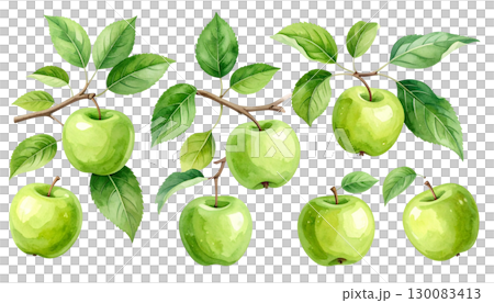 Fresh green apple on white background 130083413