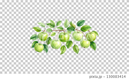 Fresh green apple on white background 130083414